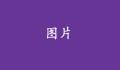 沒有標(biāo)題的話，就不會(huì)顯示